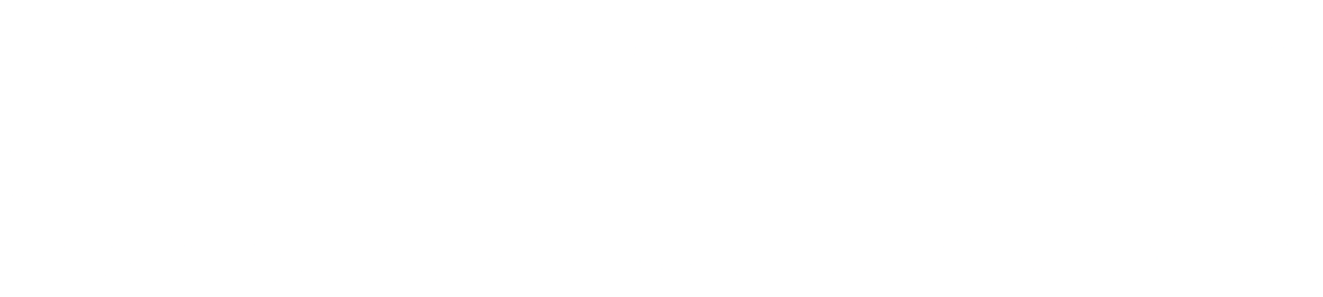 SCHIESS GmbH