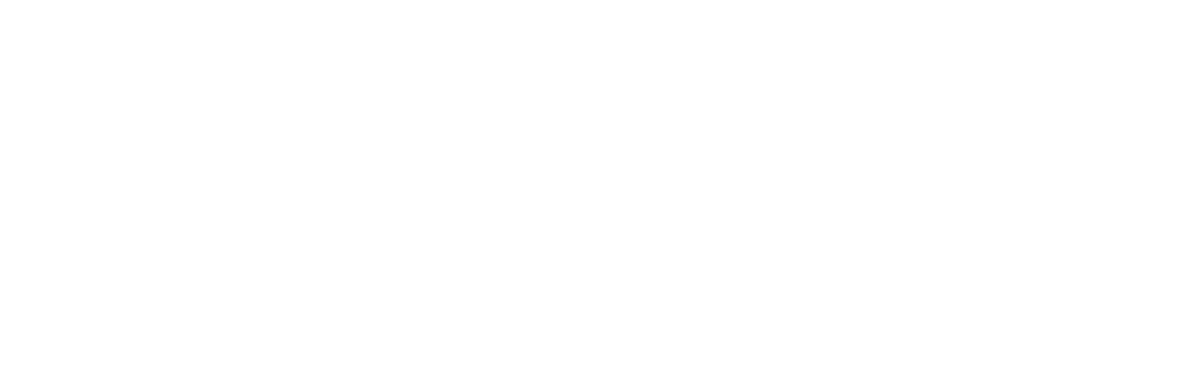 JULI Motorenwerk s.r.o.