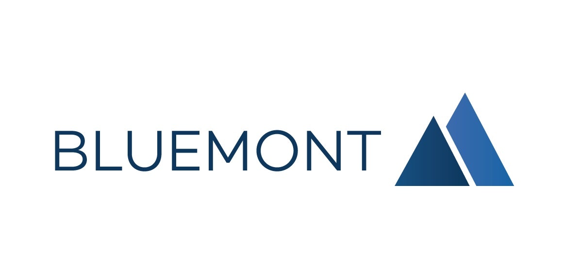 Bluemont Consulting GmbH