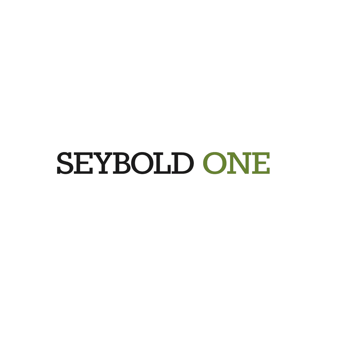 SEYBOLD ONE GMBH