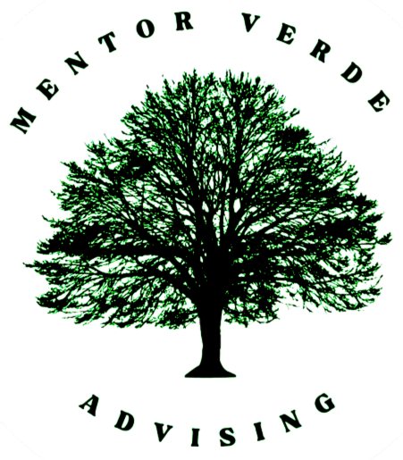 Freier Auditor und Berater