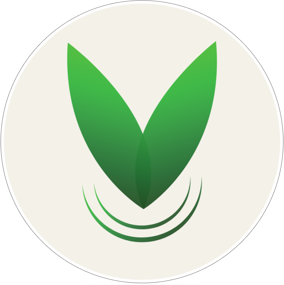 VANILIS Inh. Tiananjarsoa