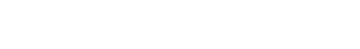 PFISTER WAAGEN BILANCIAI GMBH