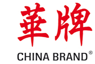 E-Mobilität:  Die chinesischen Autobauer  melden immer mehr Patente an