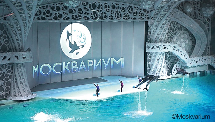 Klimatisierung fürs Delfinarium mit RadiPac - Radialventilatoren