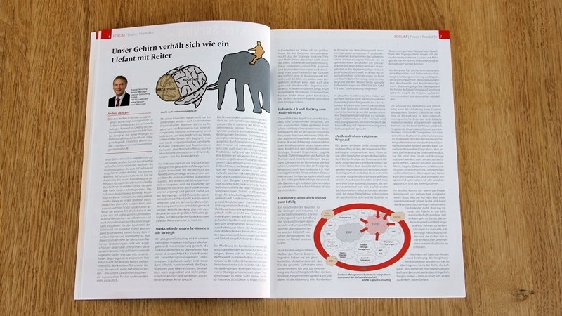 Anders Denken - Unser Gehirn verhält sich wie ein Elefant mit Reiter