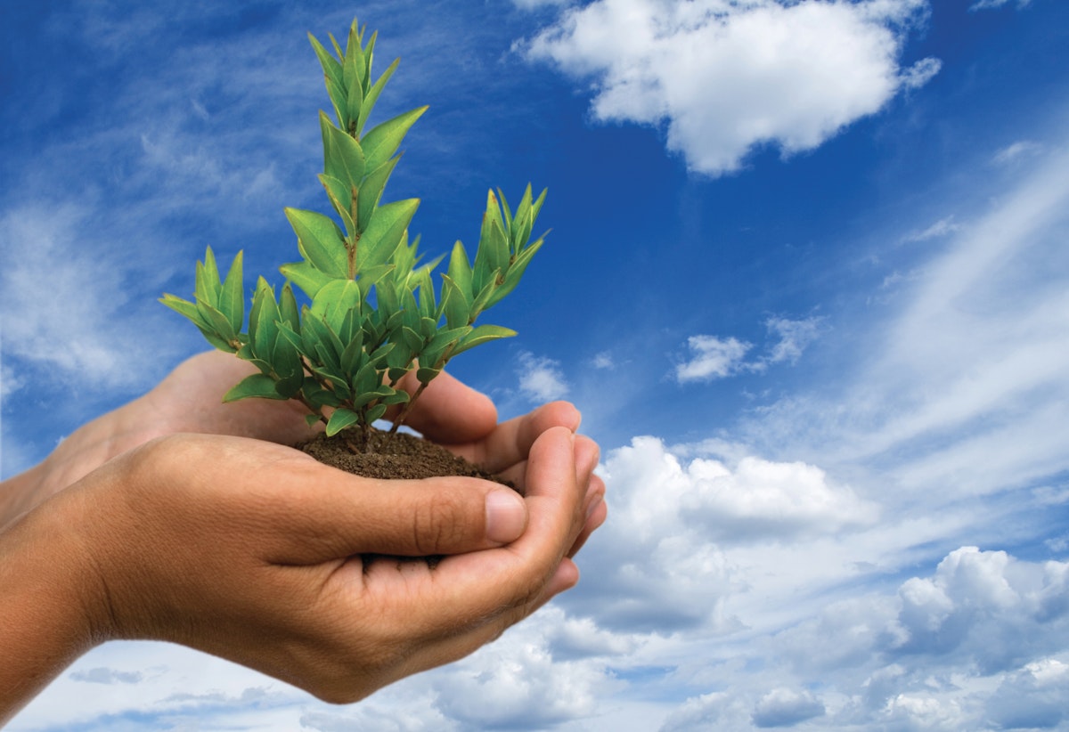 Effizienter schmieren – günstiger produzieren