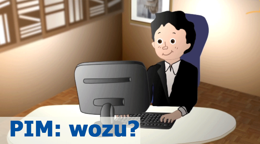 Wozu PIM Software?