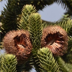 KVP – eine Frage des Widerstands