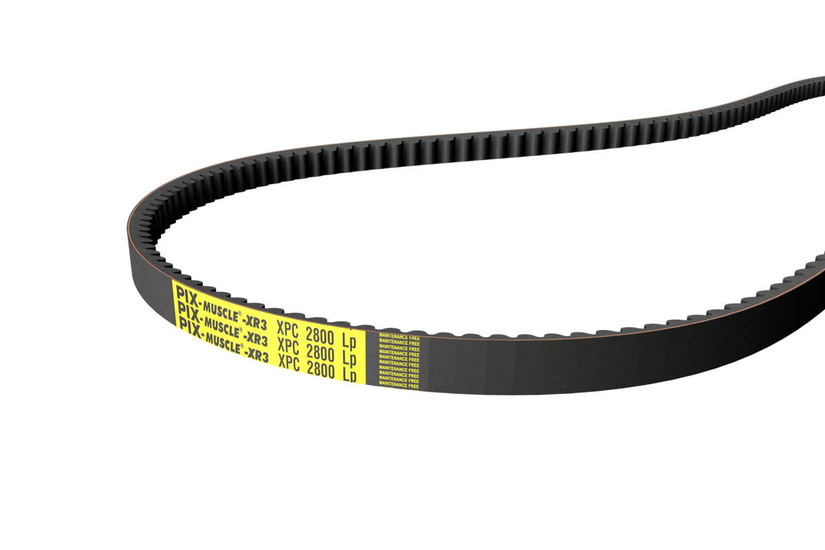 PIX-Muscle® -XR3: keilriemen flankenoffen formgezahnt