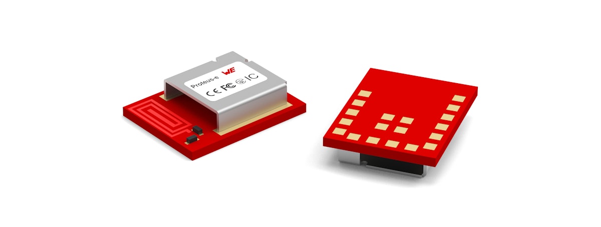 Noch kleiner als sein Bruder