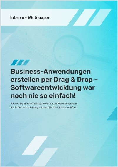 WIE KANN ICH MIT LOW-CODE-ENTWICKLUNG GESCHÄFTSPROZESSE UND IT-ANWENDUNGEN KOSTENGÜNSTIG UND SCHNELL ERSTELLEN?