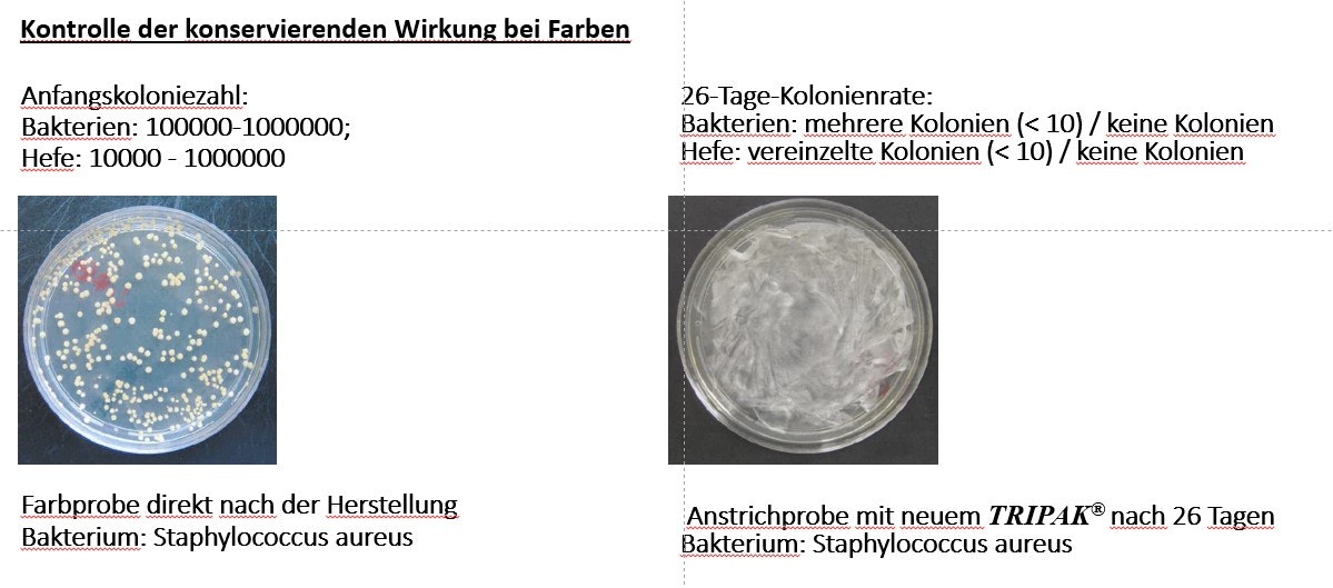 Bakterien in Farben und Lacken: Risiken, Folgen und innovative Lösungen