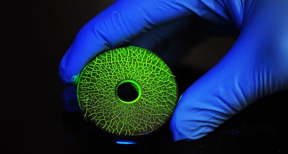 Chemetall steigt auf SAP SuccessFactors um