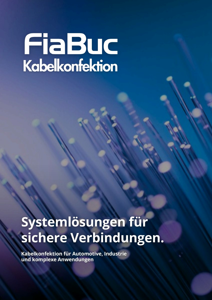 PDF-Dokument