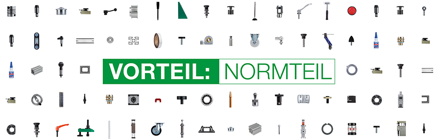 VORTEIL: NORMTEIL