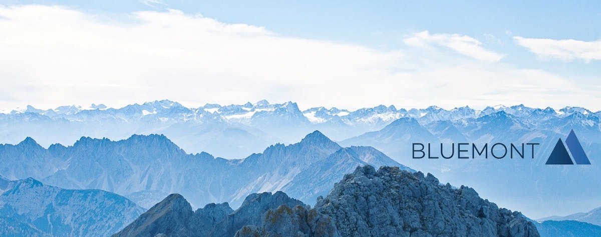 Bluemont Consulting GmbH