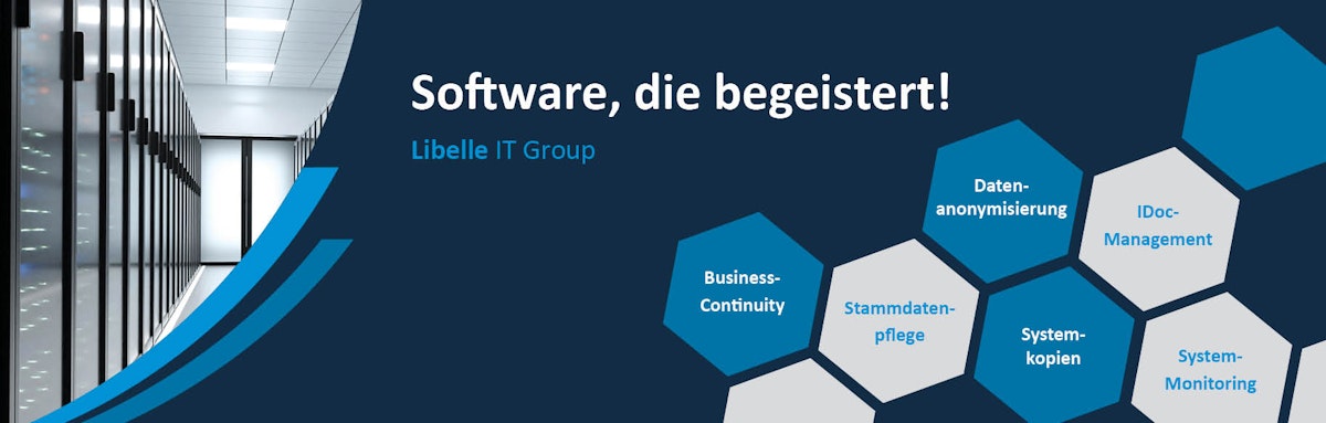Libelle IT Group