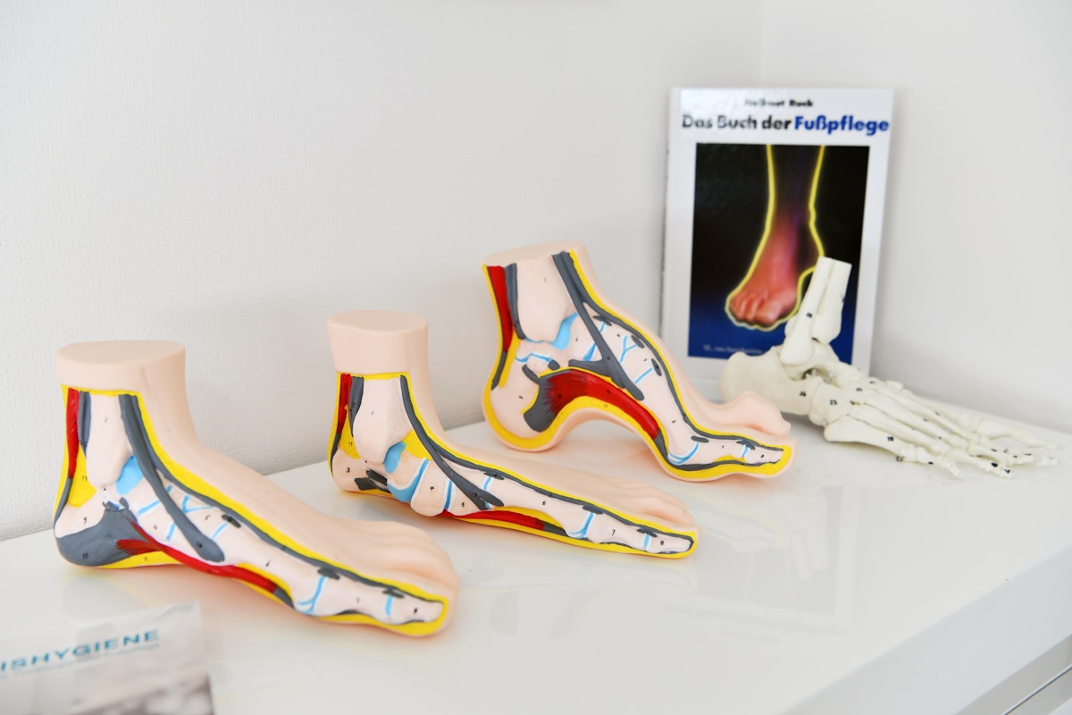 Professionelle Ausbildung