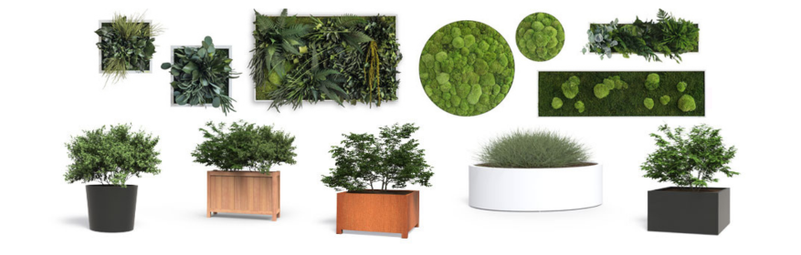 Greenbop GmbH