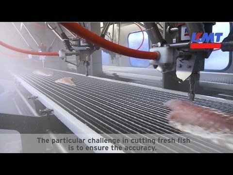 Valka - Hersteller von Maschinen zur Fischverarbeitung - Wasserstrahlschneiden von Fisch
